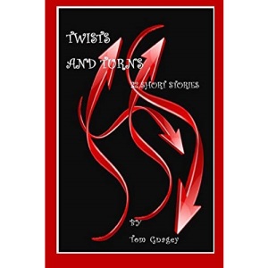 Twists and Turns: 32 short stories
