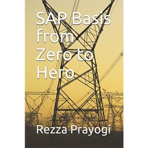 SAP Basis from Zero to Hero