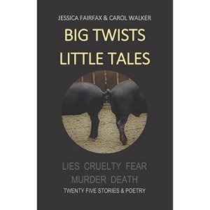 BIG TWISTS LITTLE TALES