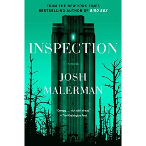 Inspection: a novel