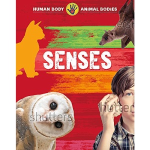 Senses (Human Body, Animal Bodies)