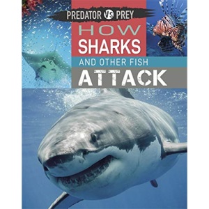 How Sharks and other Fish Attack (Predator vs Prey)