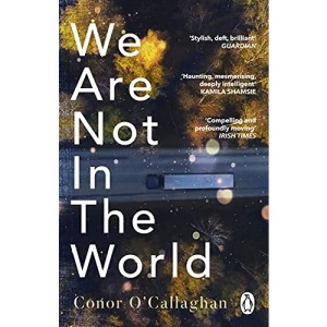 We Are Not in the World: ‘compelling and profoundly moving’ Irish Times