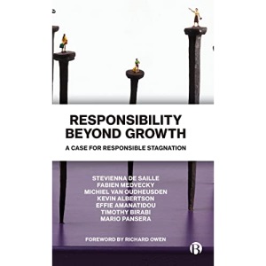 Responsibility Beyond Growth: A Case for Responsible Stagnation