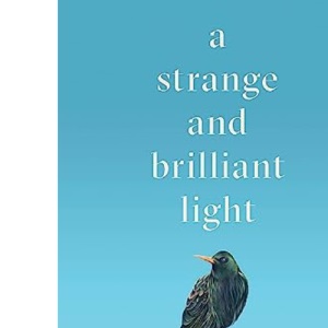 A Strange and Brilliant Light: Winner of the Writers’ Guild Best First Novel Award