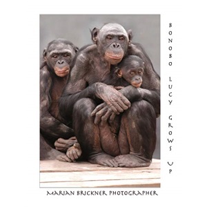 Bonobo Lucy Grows Up