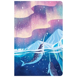 CSB Kids Bible, Narwhal LeatherTouch