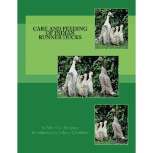 Care and Feeding of Indian Runner Ducks