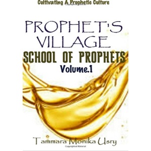 Prophet's Village Training Manual Vol.1: A Practical Guide to Understanding Prophets and a Prophetic Culture