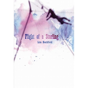 Flight of a Starling