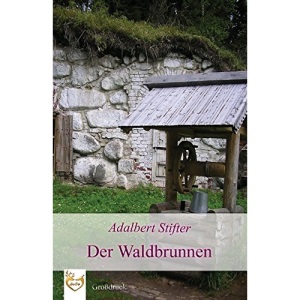 Der Waldbrunnen (Großdruck)