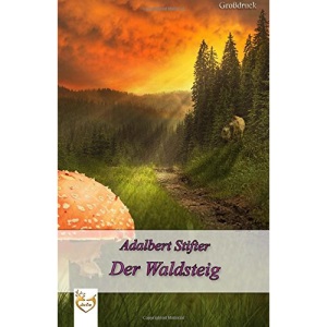 Der Waldsteig (Großdruck)