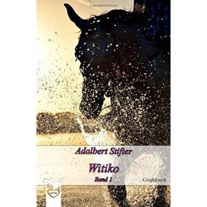 Witiko (Großdruck): Band 1