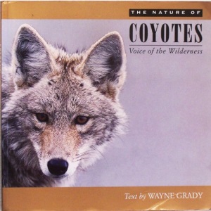 Nature of Coyotes: Voice of the Wilderness
