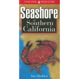 Seashore of Southern California (Lone Pine Field Guides)