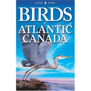 Birds of Atlantic Canada
