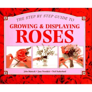 A Step-By-Step Guide to Growing & Displaying Roses