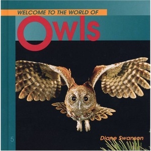 Welcome to the World of Owls