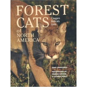 Forest Cats of North America