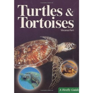 Turtles & Tortoises (Firefly Guide)