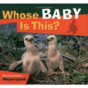 Whose Baby is This? (Whose....is This?)