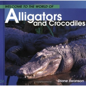 Welcome to the World of Alligators and Crocodiles