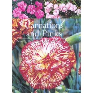 Carnations and Pinks