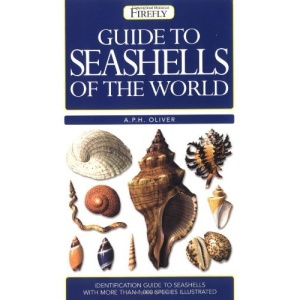 Guide to Seashells of the World