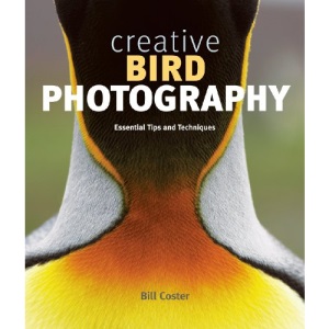Creative Bird Photography: Essential Tips and Techniques