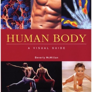 Human Body: A Visual Guide