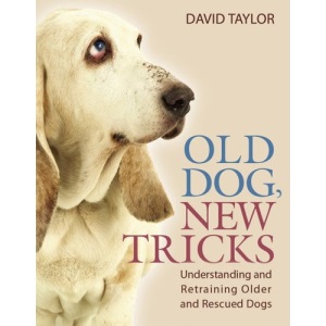 Old Dog, New Tricks: Understanding and Retraining Older and Rescued Dogs