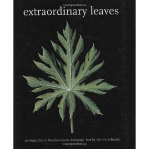 Extraordinary Leaves