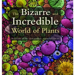 The Bizarre and Incredible World of Plants