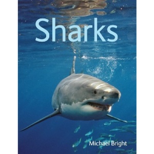 Sharks