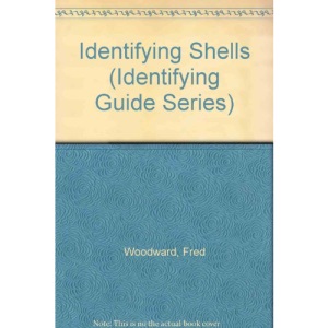 Identifying Shells (Identifying Guide Series)