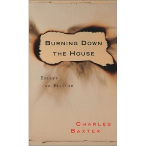 Burning Down the House: Essays on Fiction