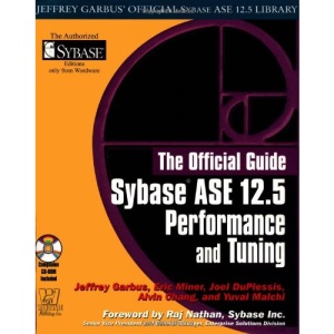 Sybase ASE 12.5 Performance and Tuning: The Official Guide (Jeffrey Garbus' Official Sybase ASE 12.5 Library)
