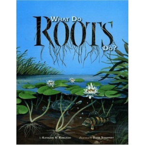 What Do Roots Do?