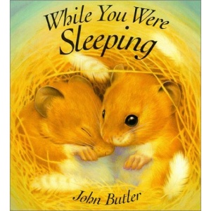 While You Were Sleeping