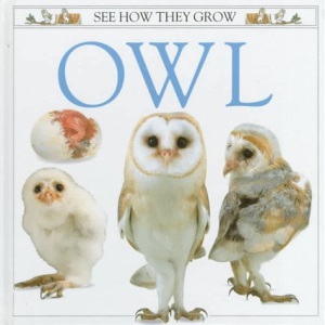 Owl (See How They Grow)