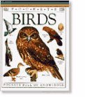 Birds (DK Pockets)