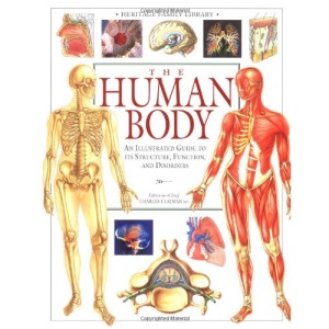 The Human Body