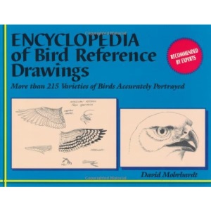 Encyclopedia of Bird Reference Drawings: More Than 215 Varieties of Birds Accurately Portrayed