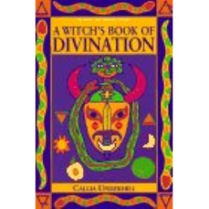 A Witch's Book of Divination (Modern Witchcraft Series)