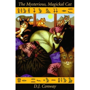 The Mysterious Magical Cat