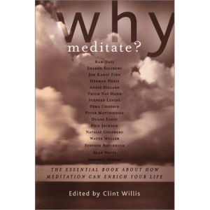 Why Meditate?: The Essential Book About How Meditation Can Enrich Your Life (Illumina Series)