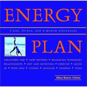 The Energy Plan: Tap Your Inner Resource for Maximum Vitality