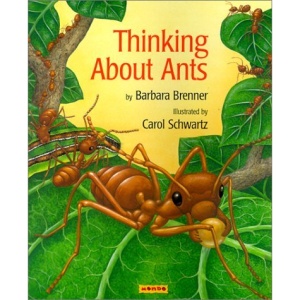 Thinking about Ants