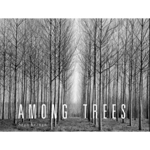 Among Trees