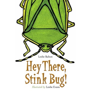 Hey There Stink Bug!